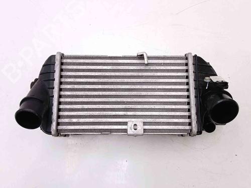 Intercooler Intercooler HYUNDAI i20 III (BC3, BI3) 1.0 T-GDI (101 hp) 36355997 36355997