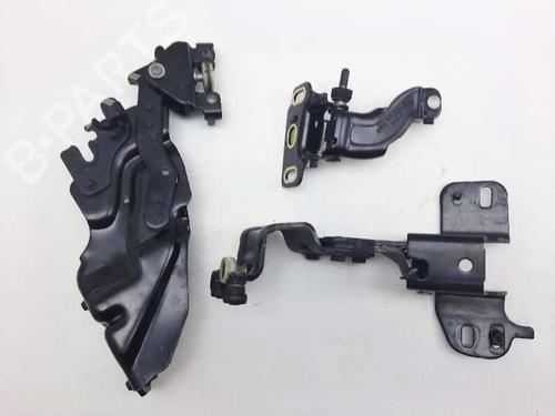 Hinge/Door check strap FORD B-MAX (JK) 1.6 TDCi | BP14305857C146 