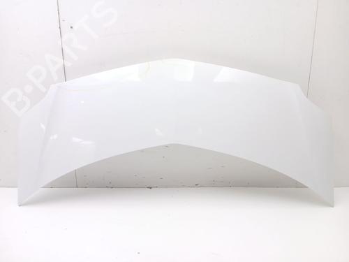 hood-renault-modus-grand-modus-fjp0_-7751475521-2004-21558861 main image