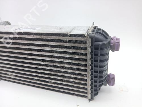Intercooler CITROËN C4 III (BA_, BB_, BC_) 1.2 PureTech 130 (BAHNSA, BAHNSB) | BP33243889M30 - Image 5