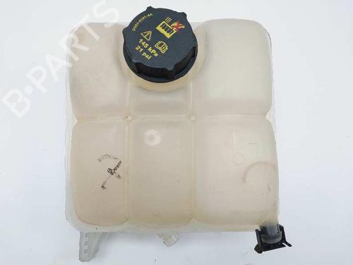 Used Expansion tank FORD C-MAX II (DXA/CB7, DXA/CEU) [2010-2019]  20686229