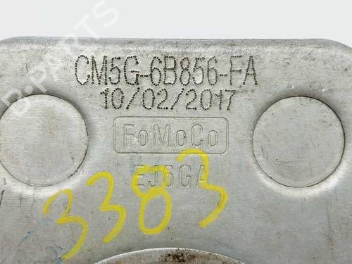 Oil radiator FORD FOCUS III Turnier  | BP20686272M33 