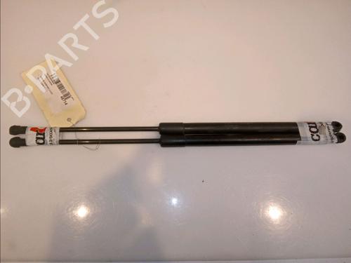 Used Tailgate lift support NISSAN QASHQAI / QASHQAI +2 I (J10, NJ10, JJ10E) 2.0 dCi (150 hp) 14880226