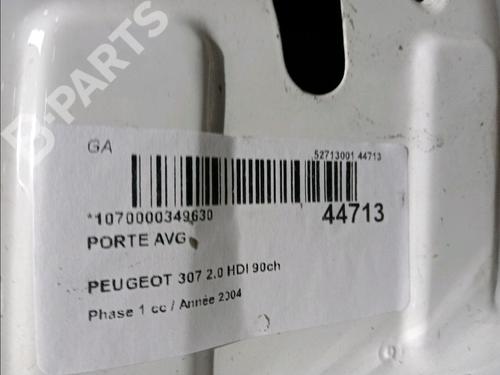 Left front door PEUGEOT 307 (3A/C) 2.0 HDi 90 | BP11102508C2 