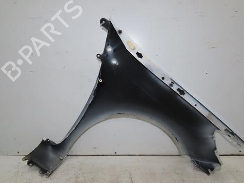 Left front fenders RENAULT CLIO III (BR0/1, CR0/1) 1.5 dCi | BP28968342C41 