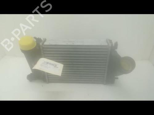Used Other NISSAN QASHQAI II SUV (J11, J11_) 1.6 dCi (130 hp) 14874475