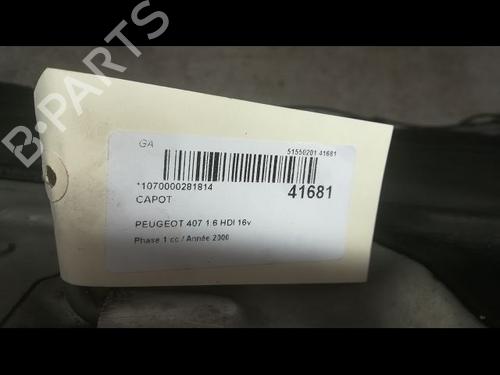 Used Hood PEUGEOT 407 (6D_) 1.6 HDi 110 (6D9HZC, 6D9HYC) (109 hp) 9614213