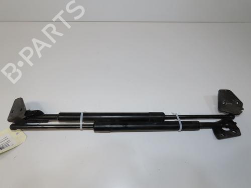 tailgate-lift-support-nissan-pathfinder-iii-r51-2005-39157350 main image