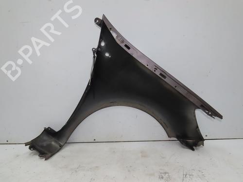 Left front fenders RENAULT CLIO III (BR0/1, CR0/1) 1.5 dCi (BR17, CR17) | BP28968335C41 
