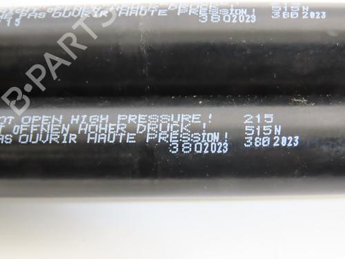 tailgate-lift-support-renault-megane-scenic-ja01_-1996-1997-1998-1999-2000-2001-28832305 main image