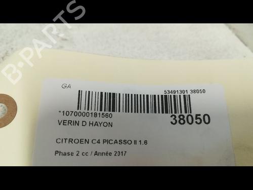 Tailgate lift support CITROËN C4 Picasso II 1.6 BlueHDi 120 | BP14879779C138 