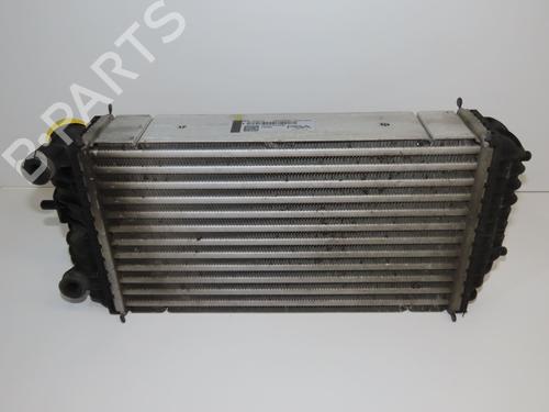 Used Intercooler Intercooler PEUGEOT 2008 II (UD_, US_, UY_, UJ_, UR_, UC_) 1.2 PureTech 100 (USHNK) (101 hp) 36544980 36544980