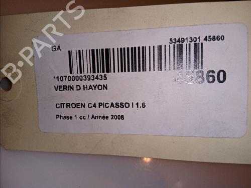 Tailgate lift support CITROËN C4 Picasso I MPV (UD_) 1.6 HDi | BP14880195C138 