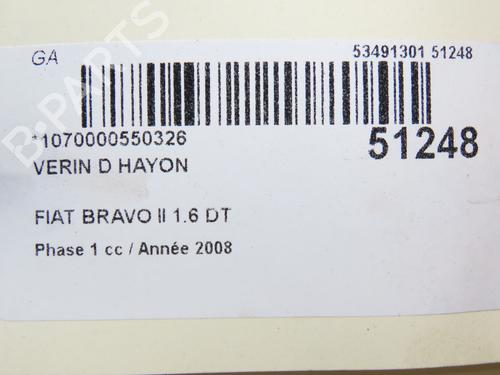 Tailgate lift support FIAT BRAVO II (198_) 1.6 D Multijet (198AXH1B) | BP28969287C138 