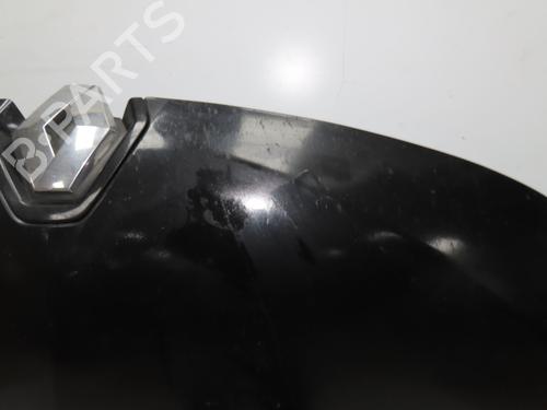 Hood RENAULT MEGANE III Hatchback (BZ0/1_, B3_) 1.5 dCi (BZ09, BZ0D, BZ1W, BZ29, BZ14) | BP28831048C1 
