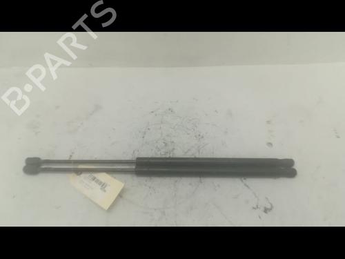 Used Tailgate lift support RENAULT GRAND SCÉNIC II (JM0/1_) 1.9 dCi (JM14) (131 hp) 14879677