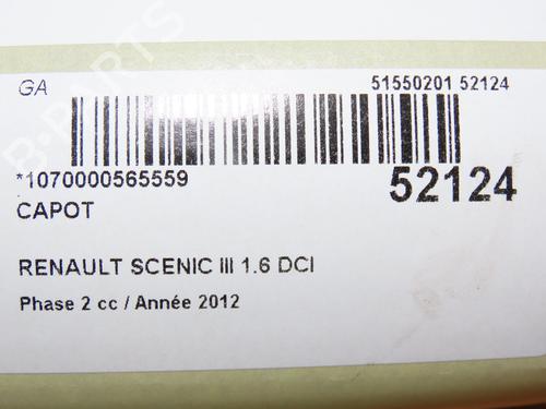 Used Hood RENAULT SCÉNIC III (JZ0/1_) 1.6 dCi (JZ00, JZ12) (130 hp) 28831019