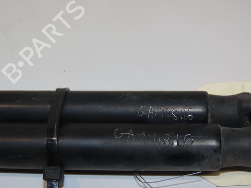 Tailgate lift support FORD FOCUS II (DA_, HCP, DP) 1.8 TDCi | BP19668745C138 