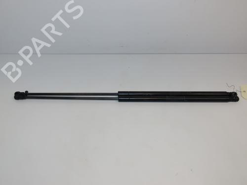 Used Tailgate lift support NISSAN JUKE (F15) 1.5 dCi (110 hp) 18732170