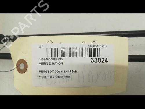 Used Tailgate lift support PEUGEOT 206+ (2L_, 2M_) 1.4 i (2LKFWA, 2MKFWA) (75 hp) 14879569