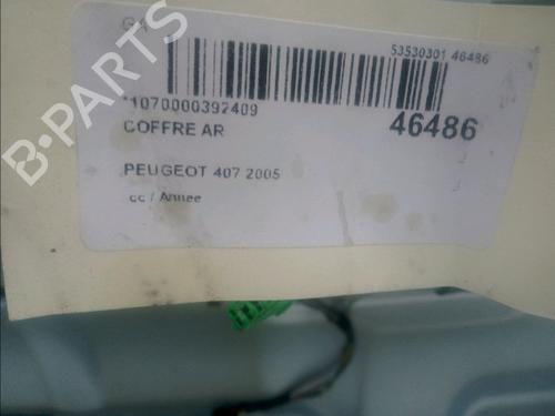 Used Tailgate PEUGEOT 407 (6D_) 2.0 (6DRFNB, 6DRFNE) (136 hp) 23177412