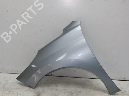 Left front fenders PEUGEOT 207 (WA_, WC_) 1.6 HDi | BP29150976C41 