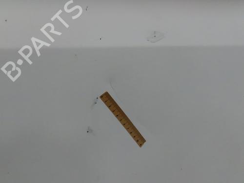 Right front door RENAULT MASTER II Van (FD) 2.8 dTI (FD0C, FD0F, FD2B, FD2F, FD3C, FD3F) | BP28831255C3 