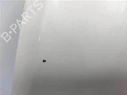 Hood CITROËN NEMO Box Body/MPV (AA_) 1.3 HDi 75 | BP19170736C1 