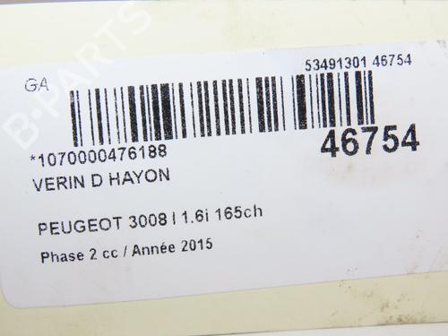 Tailgate lift support PEUGEOT 3008 I MPV (0U_) 1.6 Turbo | BP28969282C138 