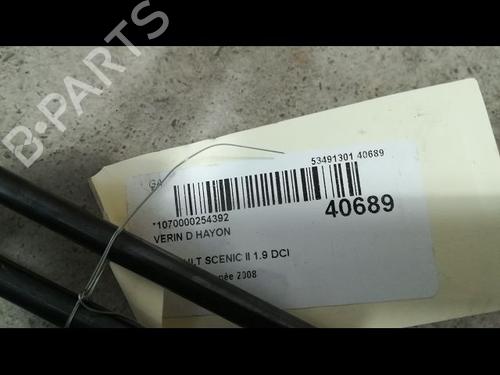 Used Tailgate lift support RENAULT SCÉNIC II (JM0/1_) 1.9 dCi (JM14) (131 hp) 23177378