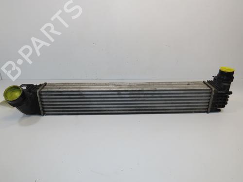 Other RENAULT MEGANE III Coupe (DZ0/1_) 1.6 dCi (DZ00, DZ12, DZ2A, DZ13) | BP28828741O1 