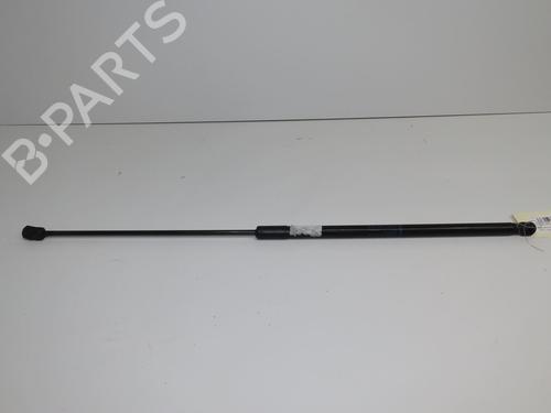 hood-lift-support-audi-a6-c6-avant-4f5-2004-2005-2006-2007-2008-2009-2010-2011-31120680 main image