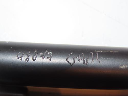 Tailgate lift support RENAULT SCÉNIC II (JM0/1_) 1.5 dCi (JM1E, JM16) | BP16740909C138 