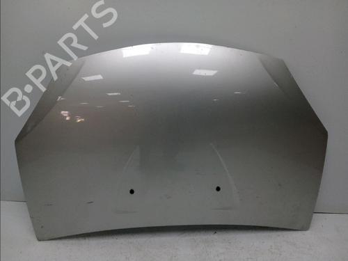 Hood DACIA SANDERO 1.4 (BS0C, BS0A, BS0G, BS1F, BS0E) (75 hp) 17324996