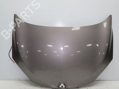 Capot RENAULT MEGANE III Hatchback (BZ0/1_, B3_) 1.5 dCi (BZ09, BZ0D, BZ1W, BZ29, BZ14) (110 hp) 31819595