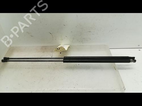 Used Tailgate lift support NISSAN JUKE (F15) 1.5 dCi (110 hp) 14879600