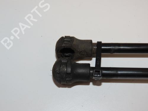 Tailgate lift support PEUGEOT 208 I (CA_, CC_) 1.4 HDi | BP29345236C138 