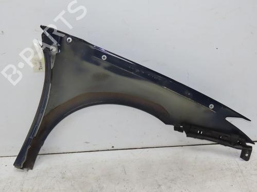 Left front fenders RENAULT LAGUNA III (BT0/1) 2.0 dCi (BT07, BT0J, BT14, BT1A, BT1S) | BP29170478C41 