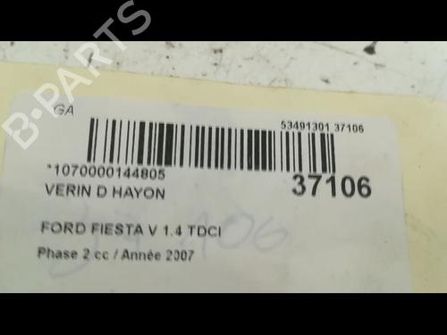 Tailgate lift support FORD FIESTA V (JH_, JD_) 1.4 TDCi | BP14879721C138 