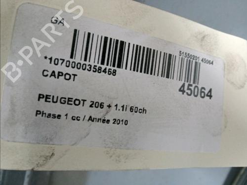 Used Hood PEUGEOT 206+ (2L_, 2M_) 1.1 (60 hp) 11832901