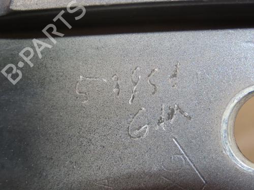 Hinge/Door check strap RENAULT KOLEOS I (HY_) 2.0 dCi 4x4 (HY0K) | BP28832207C146 