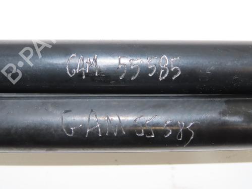 Tailgate lift support CITROËN C4 CACTUS 1.6 HDi 90 | BP31121094C138 