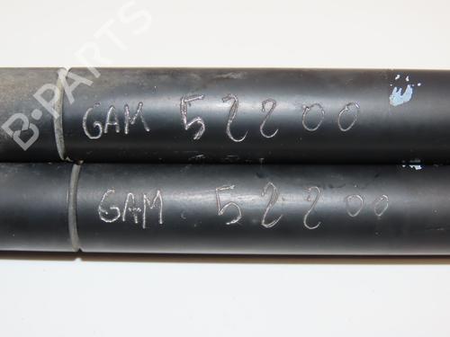 Gassdemper Bakluke RENAULT SCÉNIC II (JM0/1_) 2.0 dCi (JM1K) | BP28832282C138 