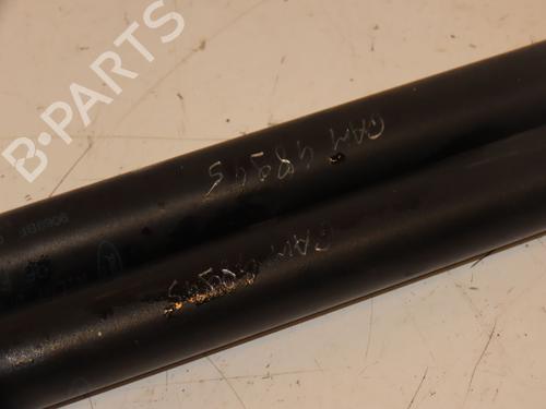 Tailgate lift support FORD FIESTA III (GFJ)  | BP16781437C138