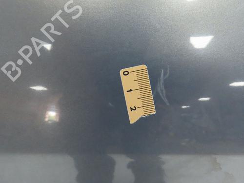 Left front door RENAULT SCÉNIC II (JM0/1_) 2.0 dCi (JM1K) | BP28831314C2 
