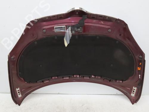 Used Hood SKODA FABIA II (542) 1.4 TDI (80 hp) 28831012