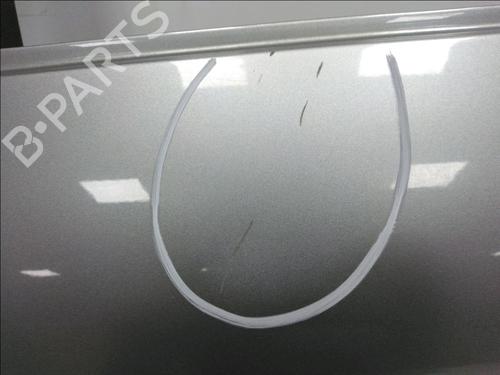 Left rear door FORD S-MAX (WA6) 2.0 TDCi | BP18663756C4 