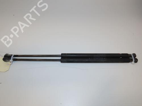 tailgate-lift-support-fiat-500-312_-2007-28832285 main image