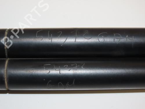 Gassdemper Bakluke RENAULT MEGANE II (BM0/1_, CM0/1_) 1.9 dCi | BP28969320C138 
