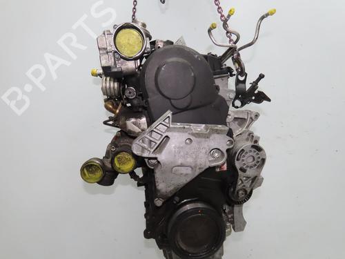 Motor für VW GOLF V (1K1) 1.9 TDI (105 hp) 31912093